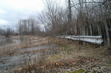 Jackson Motor Speedway - Track Being Reclaimed By Nature